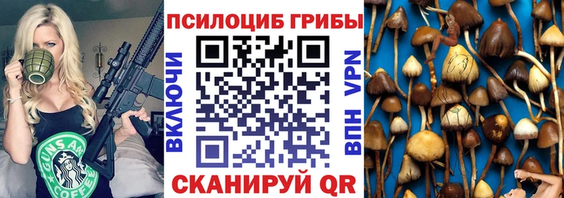 Псилоцибиновые грибы Cubensis  Майкоп 